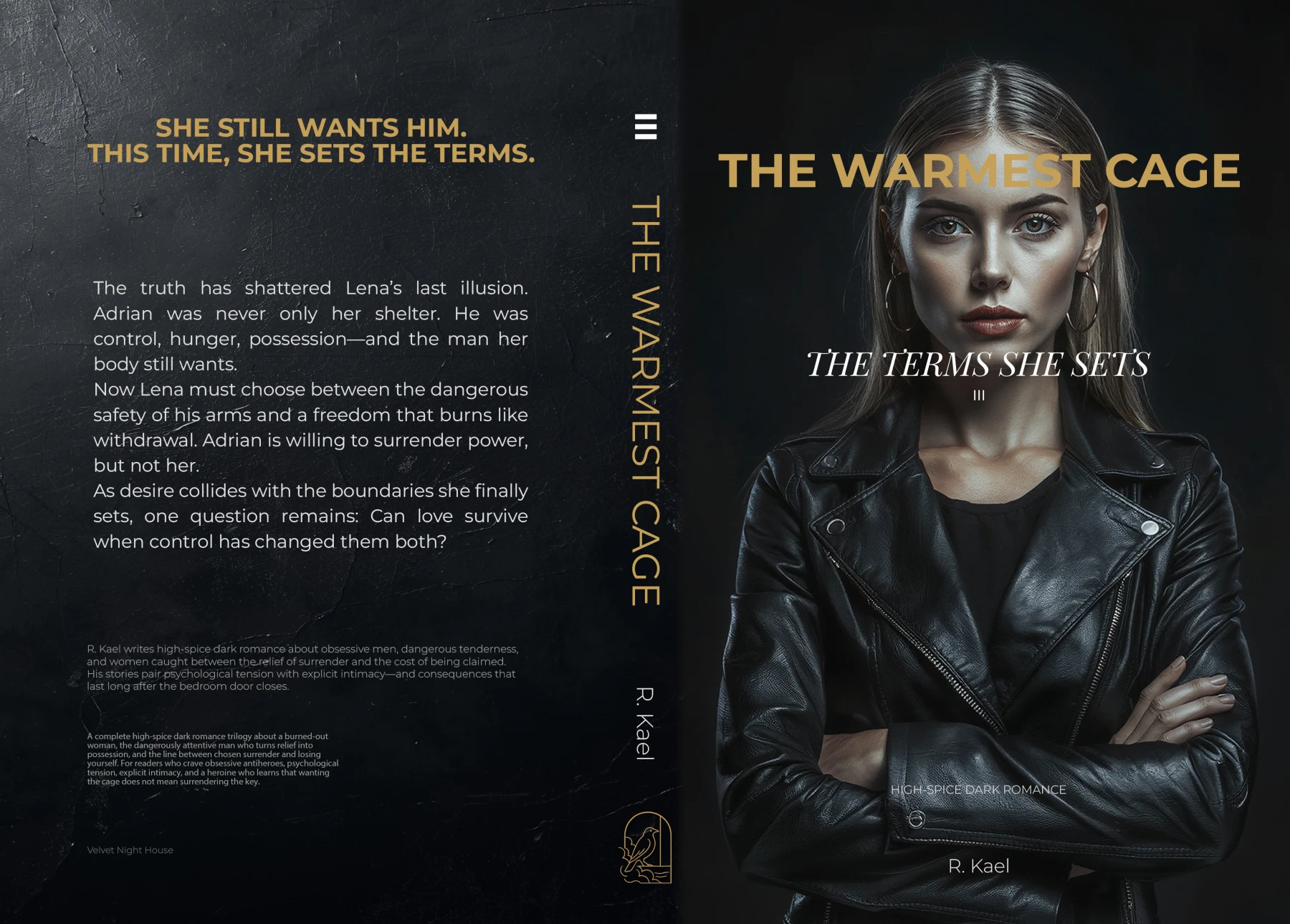 Full paperback cover: THE TERMS SHE SETS